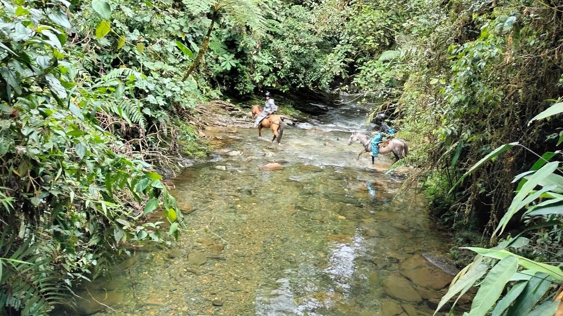 Luxury tent Sierra De Viboral Adventures Hotel Medellin