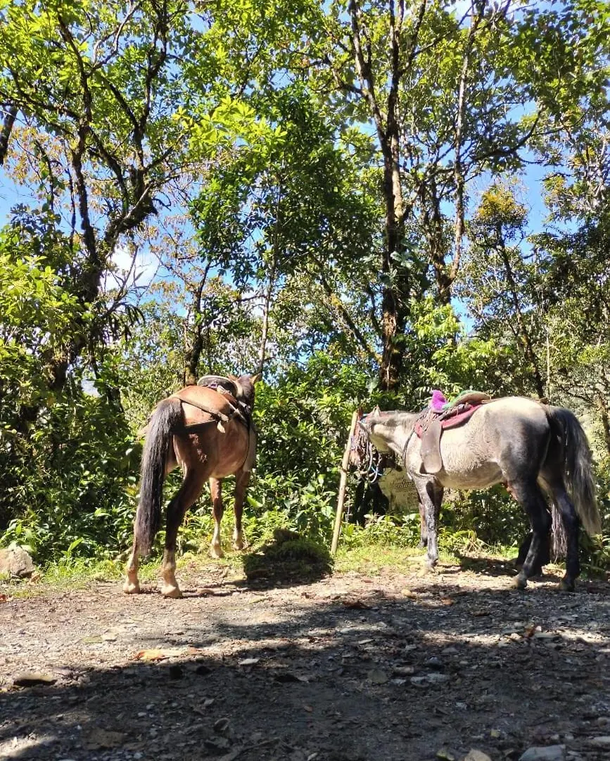 Sierra De Viboral Adventures Hotel Medellin Luxury tent