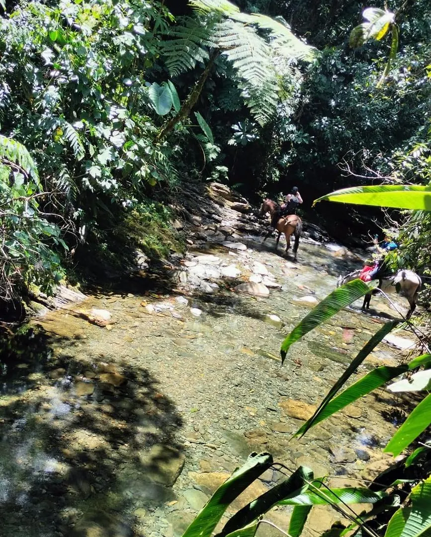 Luxury tent Sierra De Viboral Adventures Hotel Medellin