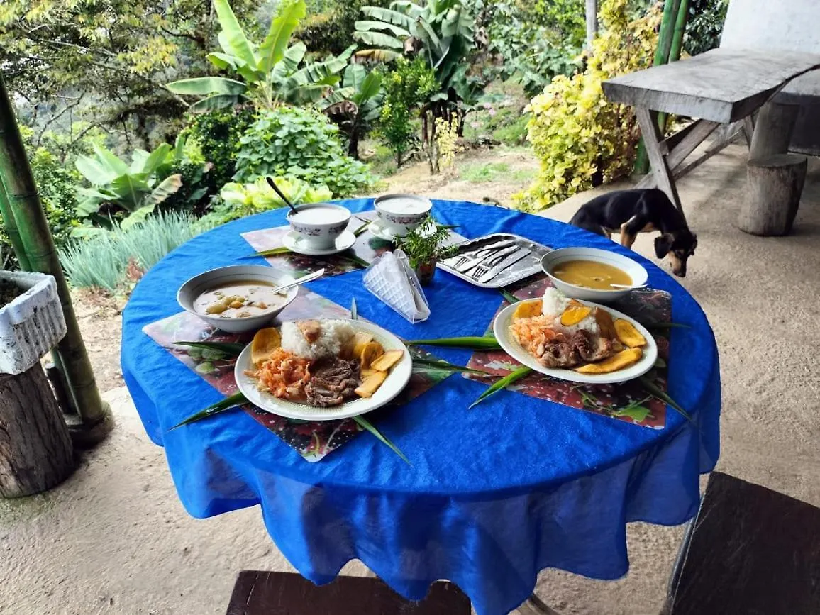 Luxury tent Sierra De Viboral Adventures Hotel Medellin