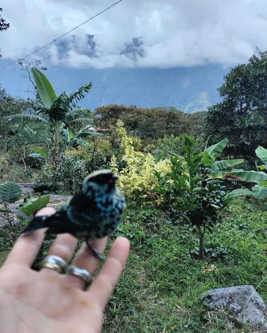 Sierra De Viboral Adventures Hotel Medellin 0*,