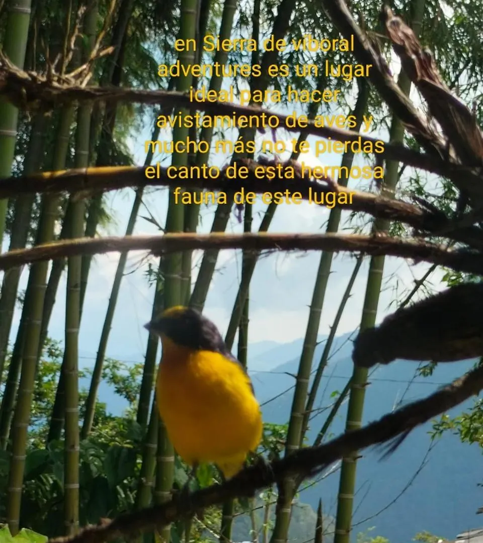 Sierra De Viboral Adventures Hotel Medellin 0*,  Colombia