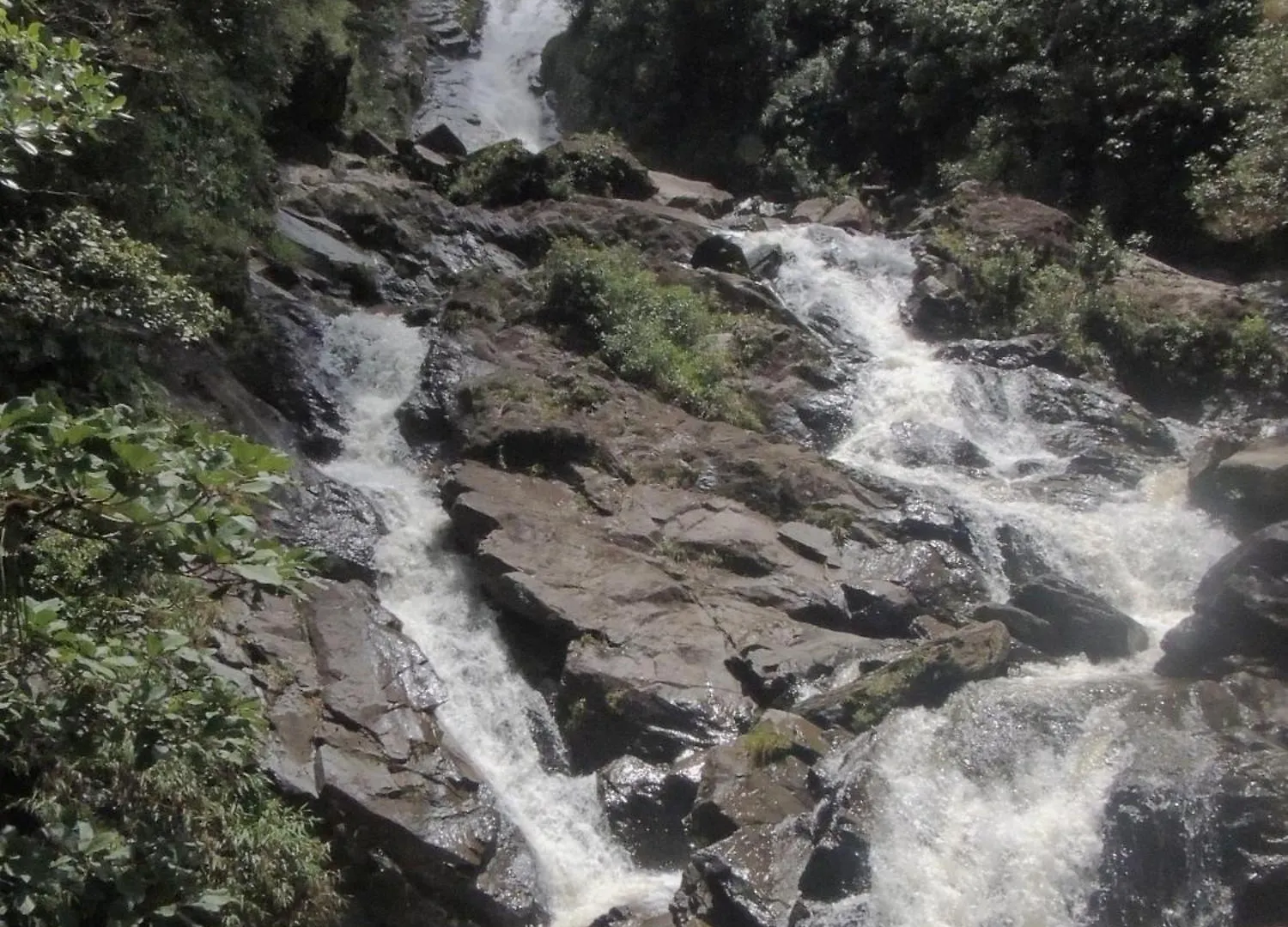 Campo de lujo Hotel Sierra De Viboral Adventures Medellín Colombia